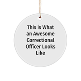 Correctional Officer Gifts from Friends, This Is What An Awesome Circle Ornament Looks Like, Unique Christmas Unique Gifts - Image 1